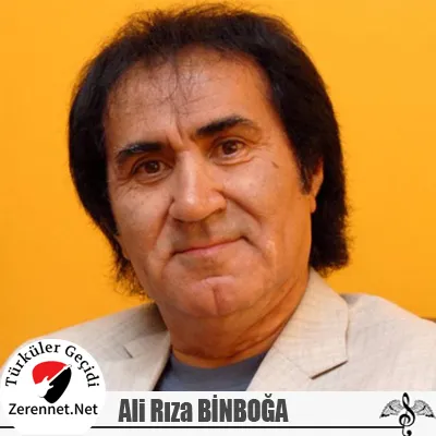 Ali Rıza Binboğa