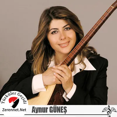 Erzincan’a girdim ne güzel bağlar